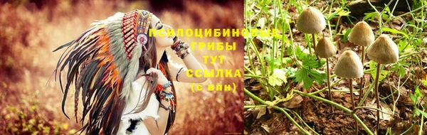 MDMA Зерноград