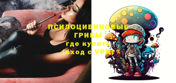 PSILOCYBIN Зеленокумск
