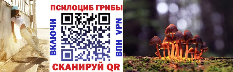 Псилоцибиновые грибы Psilocybine cubensis  Сухиничи 
